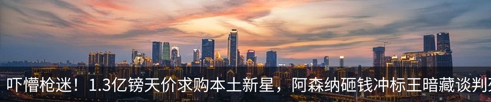 新闻动态