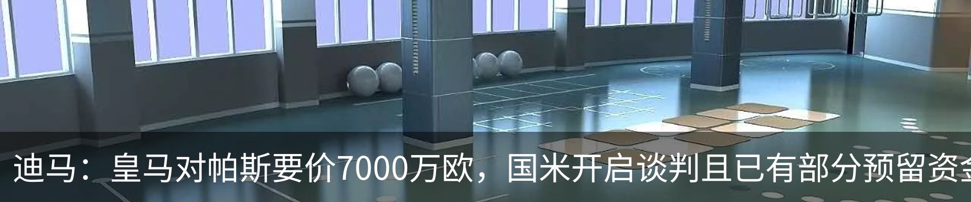 新闻动态